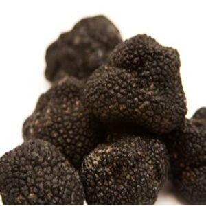 black-truffle-brumale
